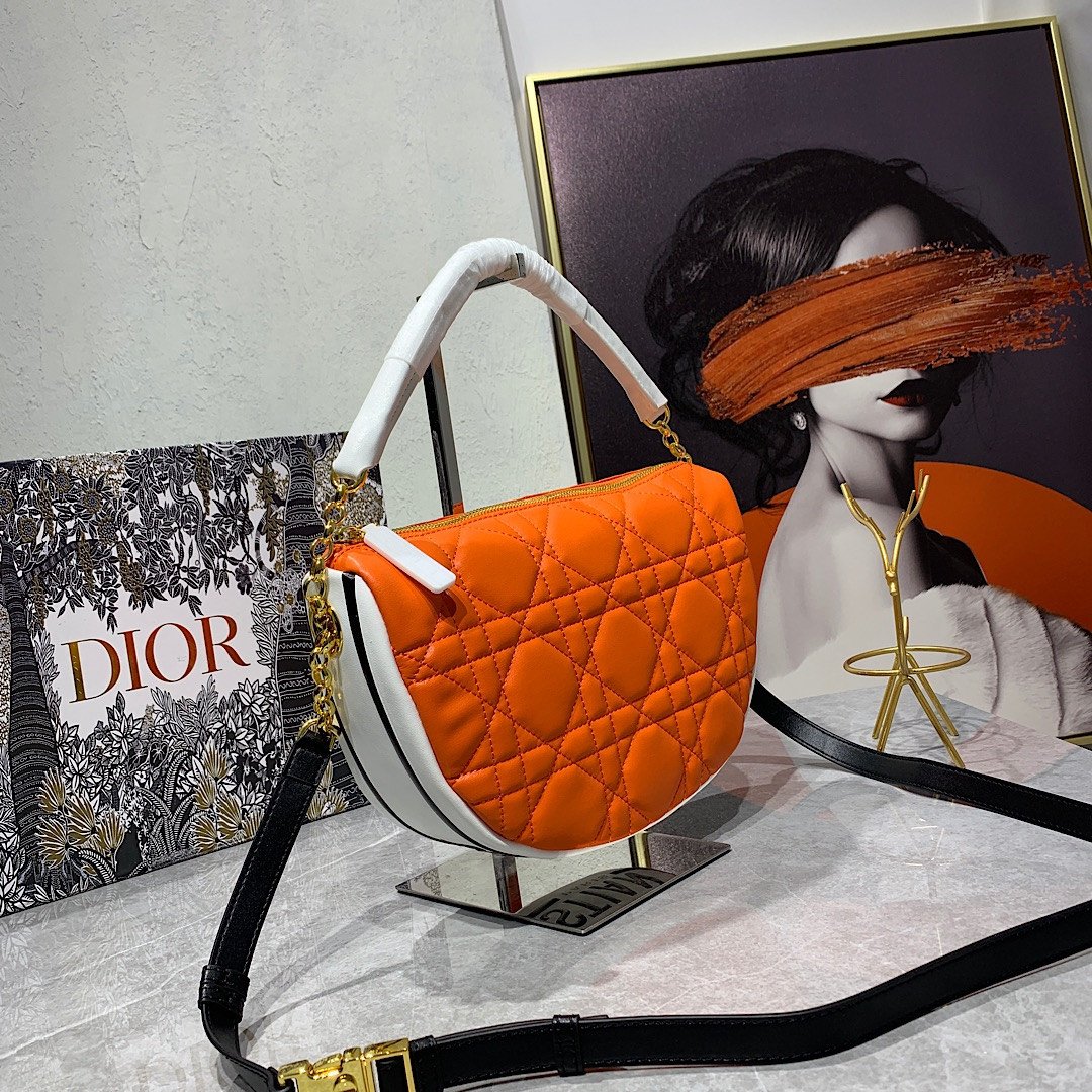 Dior Vibe Soft Cannage Lambskin Hobo Bag 22cm/29cm 2