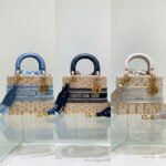 Lady Dior Wicker Top Handle Bag 24cm Multiple Colors 27