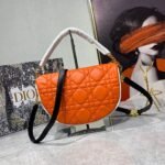 Dior Vibe Soft Cannage Lambskin Hobo Bag 22cm/29cm 3