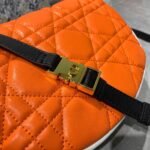 Dior Vibe Soft Cannage Lambskin Hobo Bag 22cm/29cm 5