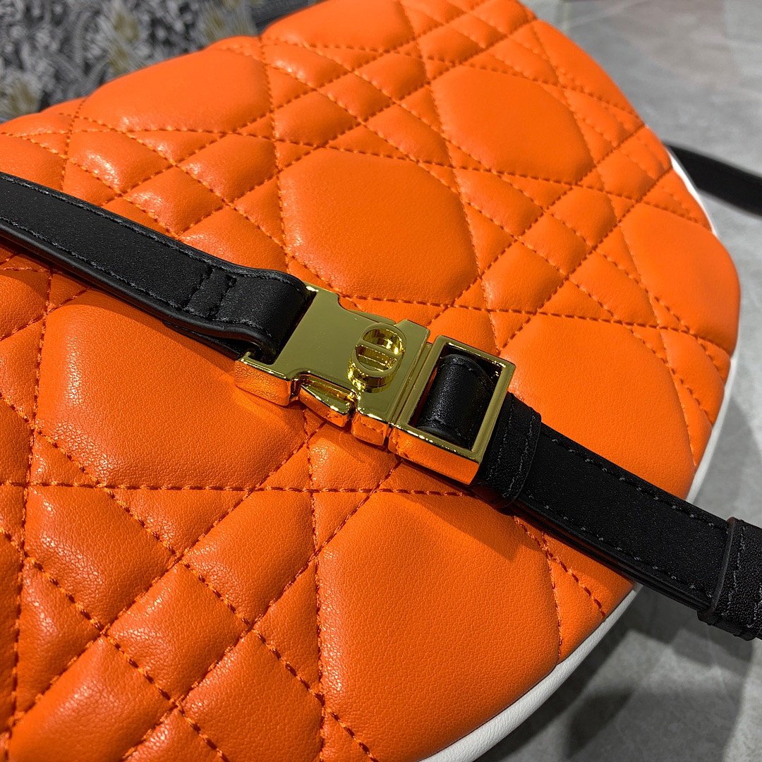 Dior Vibe Soft Cannage Lambskin Hobo Bag 22cm/29cm 5