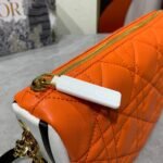 Dior Vibe Soft Cannage Lambskin Hobo Bag 22cm/29cm 6