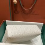 Loro Piana Extra Pocket L19 Ostrich Leather Pouch White 7