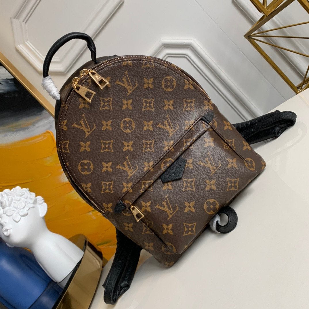 Louis Vuitton Palm Springs Backpack PM 20x31x10cm Monogram Canvas 1