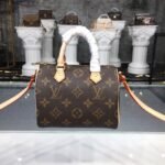 Louis Vuitton Nano Speedy in Classic Monogram Canvas Handbag 16cm/20cm 1
