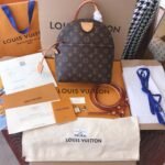 Louis Vuitton Ivy Bag in Monogram Canvas 25cm 2020 Cruise Collection Special Edition 1