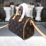Louis Vuitton Nano Speedy in Classic Monogram Canvas Handbag 16cm/20cm 2