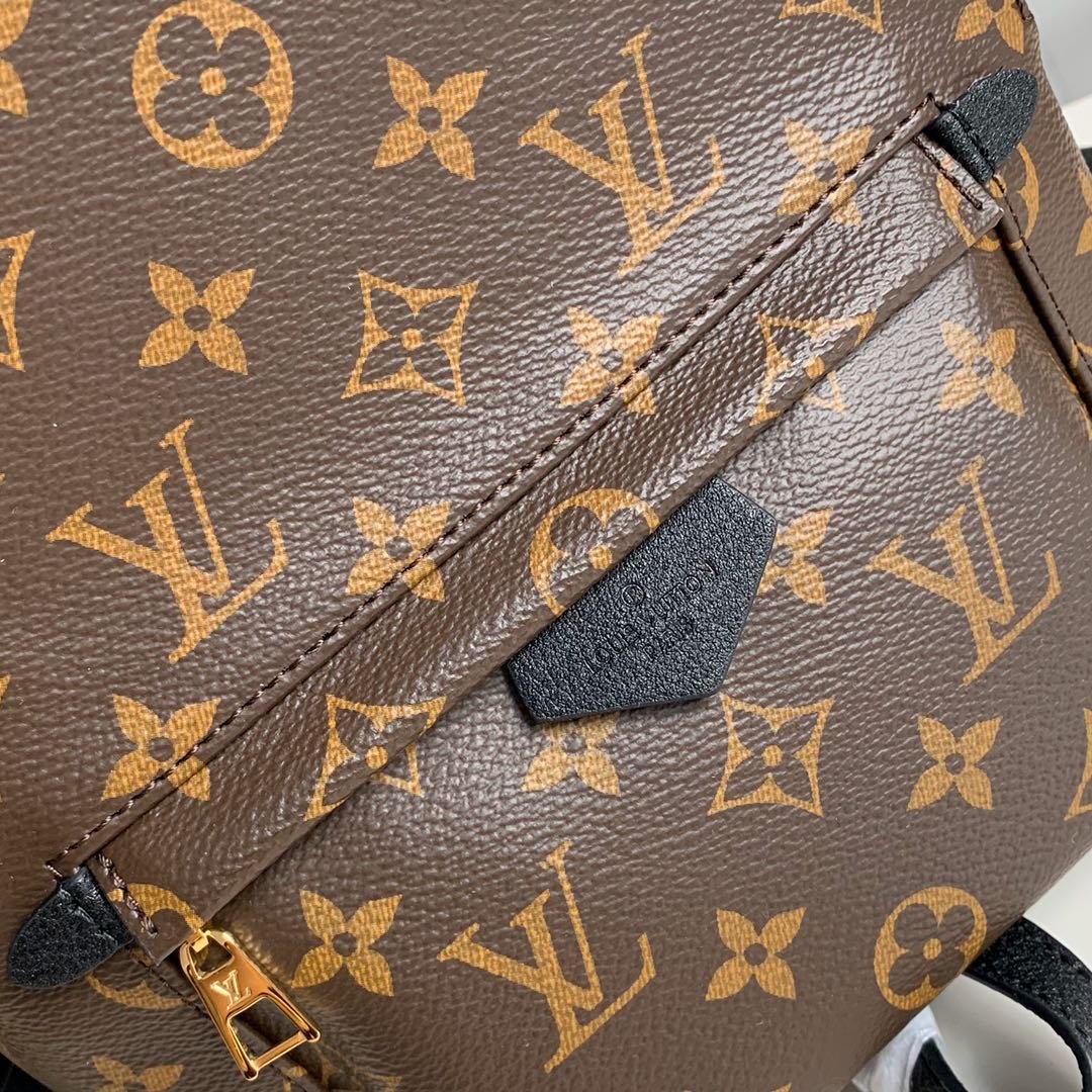 Louis Vuitton Palm Springs Backpack PM 20x31x10cm Monogram Canvas 3