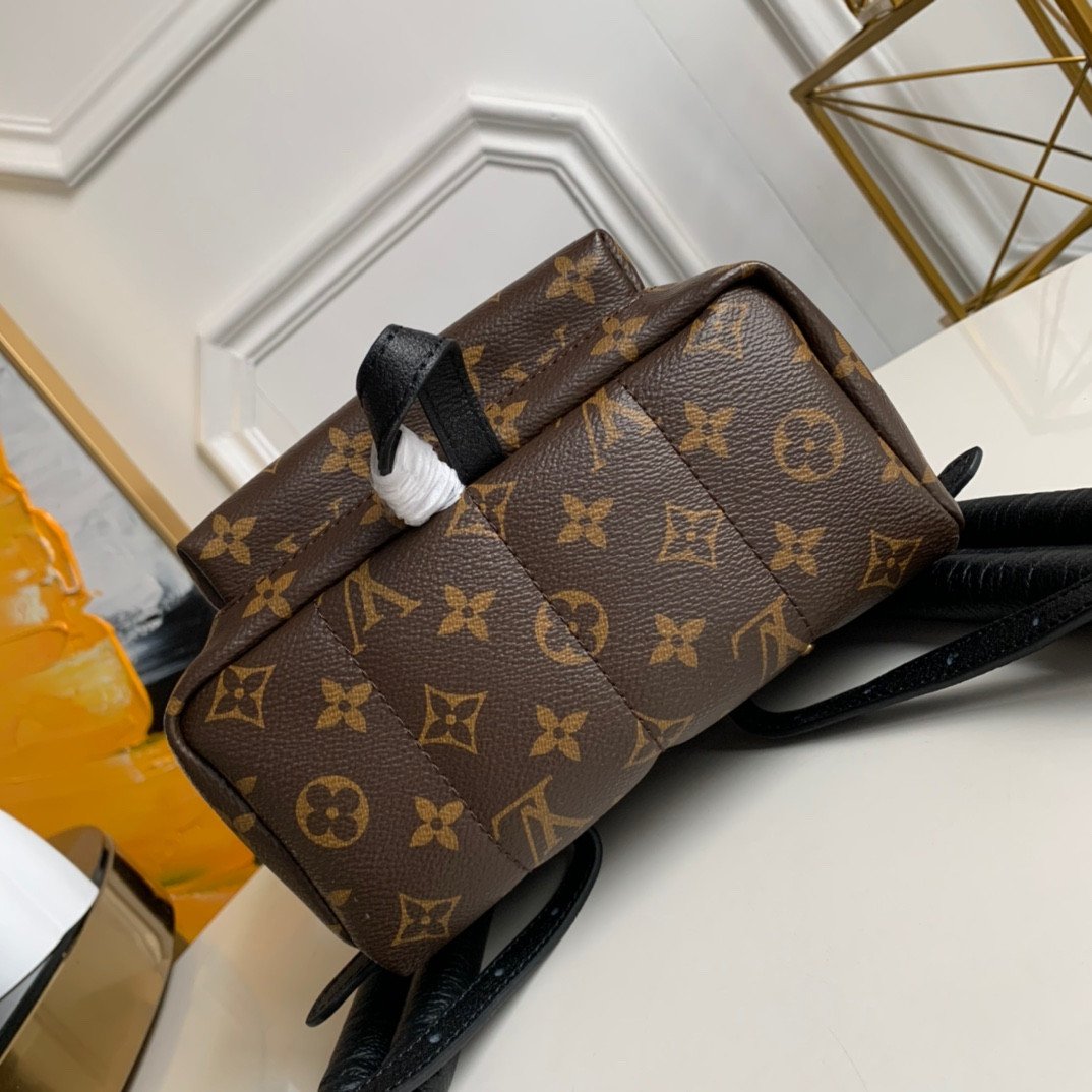 Louis Vuitton Palm Springs Backpack PM 20x31x10cm Monogram Canvas 4