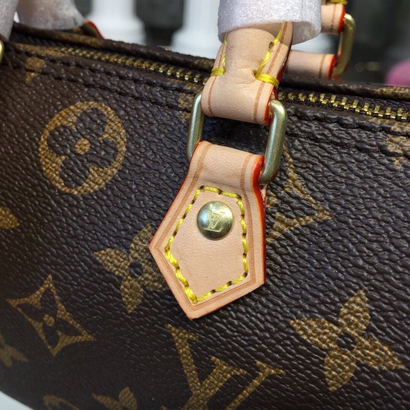 Louis Vuitton Nano Speedy in Classic Monogram Canvas Handbag 16cm/20cm 4