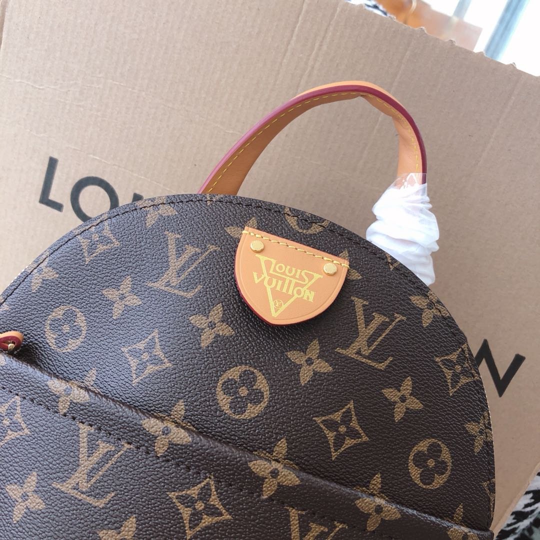 Louis Vuitton Ivy Bag in Monogram Canvas 25cm 2020 Cruise Collection Special Edition 4