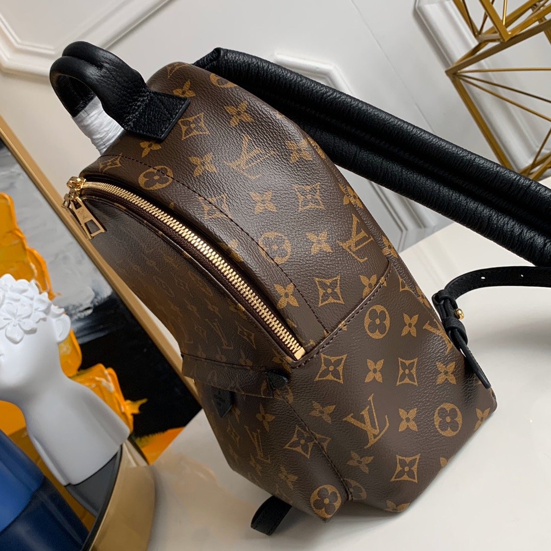 Louis Vuitton Palm Springs Backpack PM 20x31x10cm Monogram Canvas 5