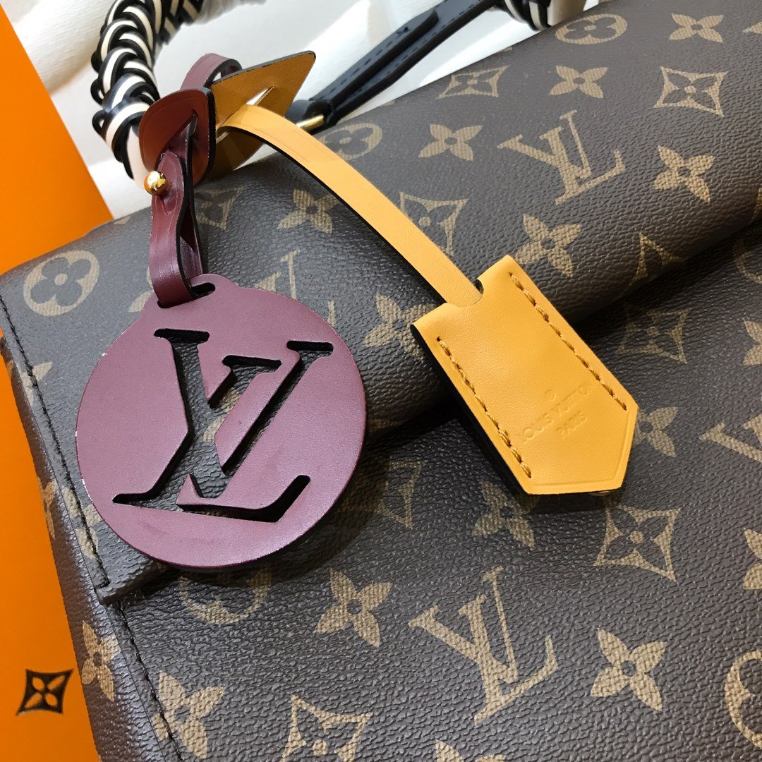 Louis Vuitton Cluny MM in Monogram Canvas 32cm Structured Top Handle Bag with Braided Detail 5