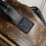 Louis Vuitton Palm Springs Backpack PM 20x31x10cm Monogram Canvas 6
