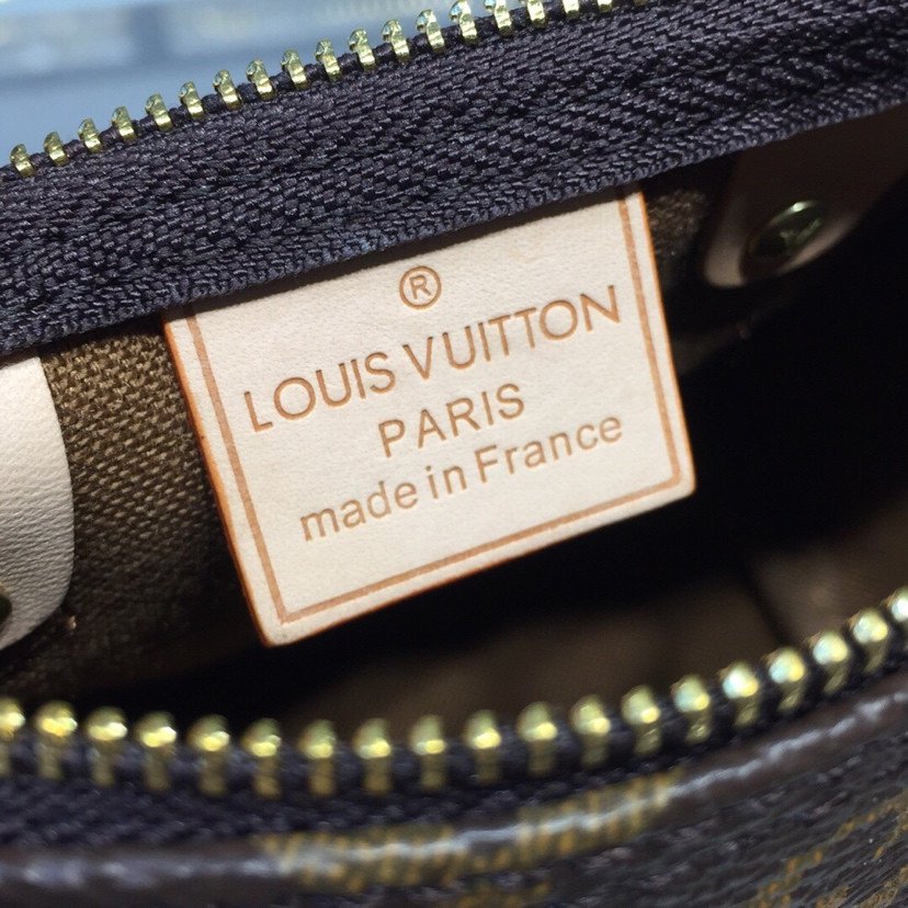 Louis Vuitton Nano Speedy in Classic Monogram Canvas Handbag 16cm/20cm 6