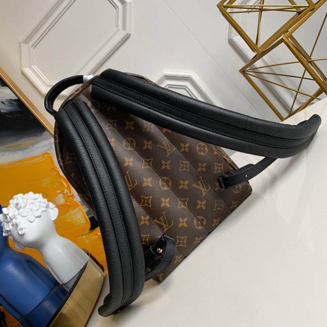 Louis Vuitton Palm Springs Backpack PM 20x31x10cm Monogram Canvas 7