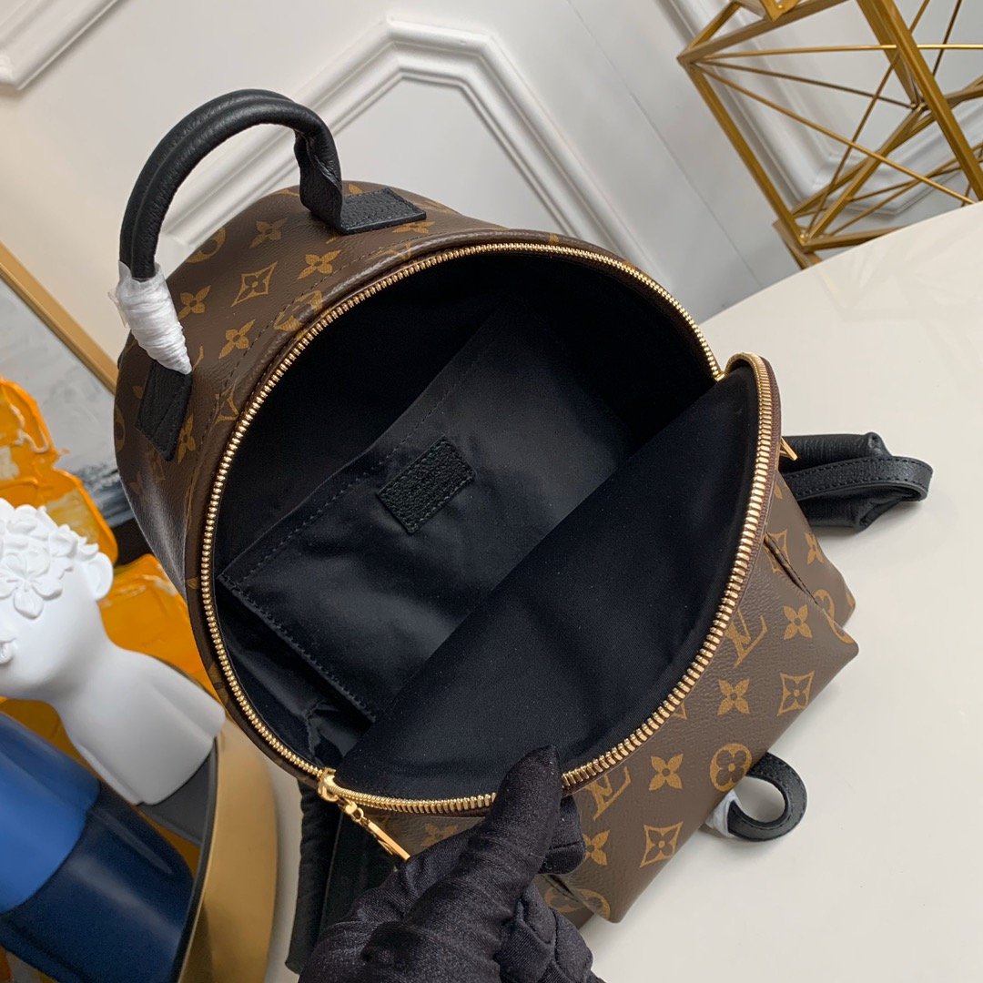 Louis Vuitton Palm Springs Backpack PM 20x31x10cm Monogram Canvas 8