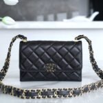 CHANEL 23K Autumn/Winter Collection The Wide Strap Crinkled Calfskin Flap Bag 18cm 1