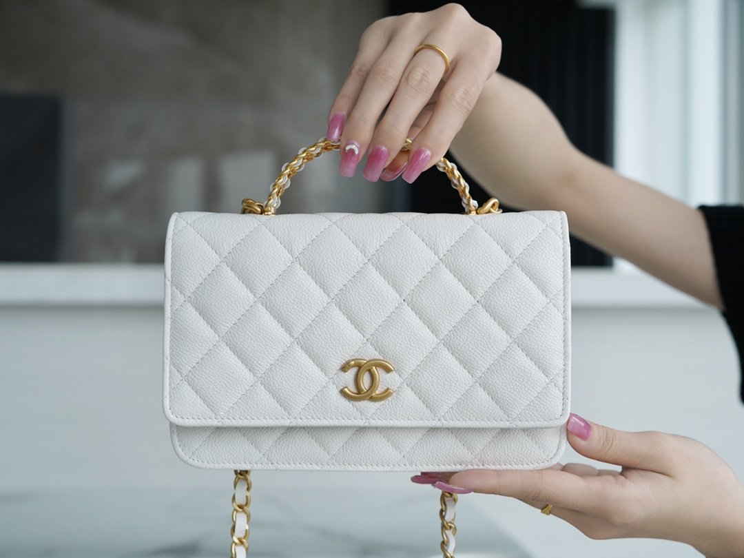 Chanel 22P Spring/Summer Collection The Iconic Top Handle Wallet on Chain (WOC) 19cm Flap Bag 11
