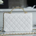 Chanel 22P Spring/Summer Collection The Iconic Top Handle Wallet on Chain (WOC) 19cm Flap Bag 12