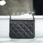 CHANEL 23k Autumn/Winter Collection Wide Strap Quilted Flap Bag 20.5cm 4 Colors 14