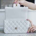 CHANEL 2022P Limited Edition Mini CF Top Handle Bag with 3D Lion Charm 16