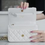 Chanel 22P Spring/Summer Collection The Iconic Top Handle Wallet on Chain (WOC) 19cm Flap Bag 16
