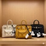 Hermès Birkin Cargo 25 Handbag 25cm Versatile Canvas and Swift Leather with Multi-Pocket Utility Design 3 Colors