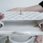 CHANEL 2022P Limited Edition Mini CF Top Handle Bag with 3D Lion Charm 17