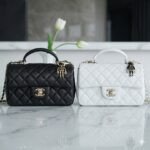 CHANEL 2022P Limited Edition Mini CF Top Handle Bag with 3D Lion Charm 19