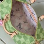 Louis Vuitton Keepall Bandoulière 45 Travel Bag 45cm The Giant Damier Pastel Collection 19