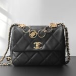 Chanel 23B Fall/Winter Calfskin Quilted Flap Bag with Gold Coin & Iconic Charms 19cm Black 2
