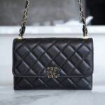 CHANEL 23K Autumn/Winter Collection The Wide Strap Crinkled Calfskin Flap Bag 18cm 2