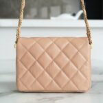 CHANEL 23k Autumn/Winter Collection Wide Strap Quilted Flap Bag 20.5cm 4 Colors 21