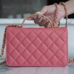 Chanel 22P Spring/Summer Collection The Iconic Top Handle Wallet on Chain (WOC) 19cm Flap Bag 21