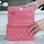 Chanel 22P Spring/Summer Collection The Iconic Top Handle Wallet on Chain (WOC) 19cm Flap Bag 25
