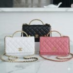 Chanel 22P Spring/Summer Collection The Iconic Top Handle Wallet on Chain (WOC) 19cm Flap Bag 28