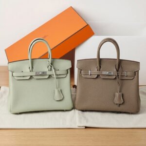 Hermes Birkin 25 Handbag Togo Leather with Silver-Tone Hardware Etoupe & Crystal Grey Handcrafted Luxury Tote