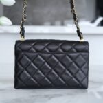 CHANEL 23K Autumn/Winter Collection The Wide Strap Crinkled Calfskin Flap Bag 18cm 3