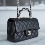 Chanel 23K Autumn/Winter Mini Classic Flap Bag 20cm The “Double C” Top Handle in Premium Quilted Leather 3