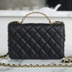 Chanel 22P Spring/Summer Collection The Iconic Top Handle Wallet on Chain (WOC) 19cm Flap Bag 3