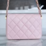 CHANEL 23k Autumn/Winter Collection Wide Strap Quilted Flap Bag 20.5cm 4 Colors 30