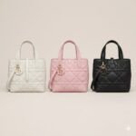 Dior Toujours Vertical Calfskin Bag 3 Colors 2 Sizes Handbags The Quintessence of Modern Luxury