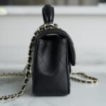 CHANEL 2022P Limited Edition Mini CF Top Handle Bag with 3D Lion Charm 4