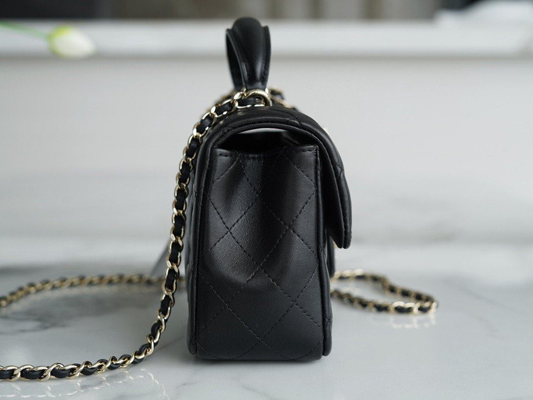 CHANEL 2022P Limited Edition Mini CF Top Handle Bag with 3D Lion Charm 4