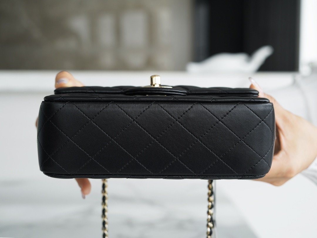 CHANEL 2022P Limited Edition Mini CF Top Handle Bag with 3D Lion Charm 5