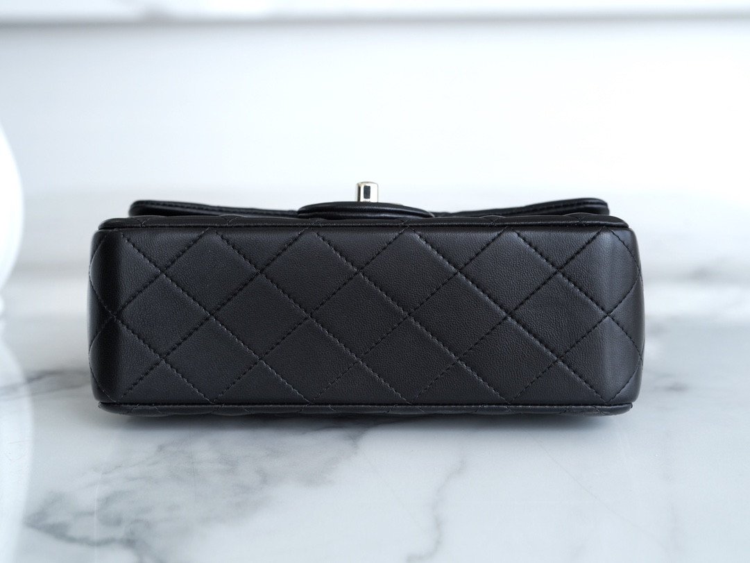 Chanel 23K Autumn/Winter Mini Classic Flap Bag 20cm The “Double C” Top Handle in Premium Quilted Leather 5