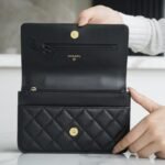 Chanel 22P Spring/Summer Collection The Iconic Top Handle Wallet on Chain (WOC) 19cm Flap Bag 5