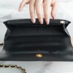 Chanel 22P Spring/Summer Collection The Iconic Top Handle Wallet on Chain (WOC) 19cm Flap Bag 6
