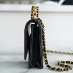 Chanel 22P Spring/Summer Collection The Iconic Top Handle Wallet on Chain (WOC) 19cm Flap Bag 7